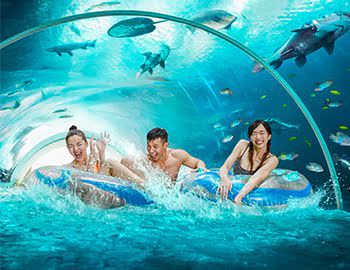 Du lịch Singapore – Top 8 trải nghiệm hấp dẫn trong mùa hè 2023 Du lịch Singapore – Top 8 trải nghiệm hấp dẫn trong mùa hè 2023